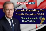 Canada Disability Tax Credit October 2025: Check Amount & How To Claim