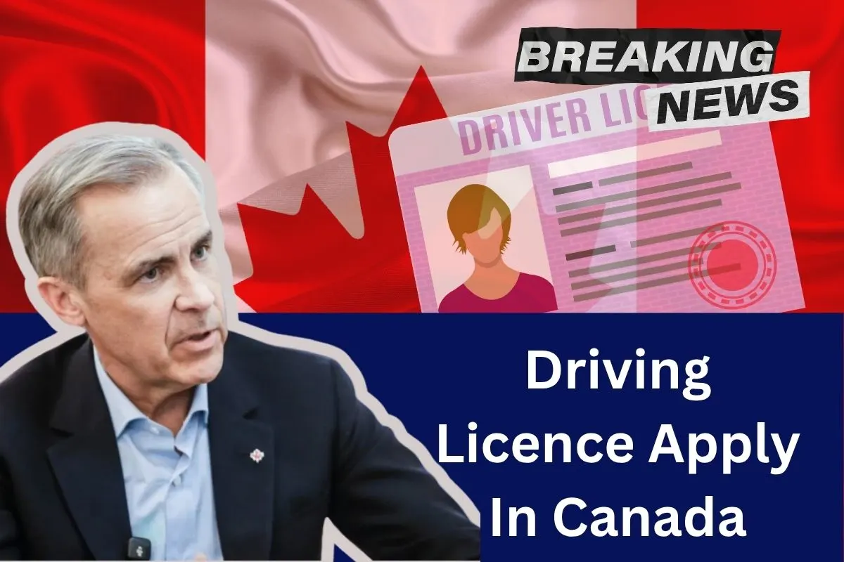 Driving Licence Apply In Canada: New Eligibility Requirements, Fees & Application Process