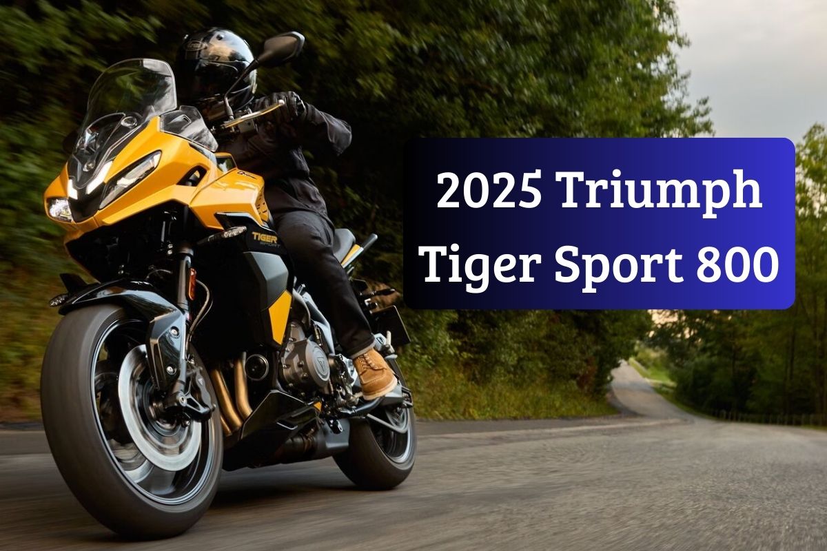 2025 Triumph Tiger Sport 800: Unleash Your Road Warrior Spirit