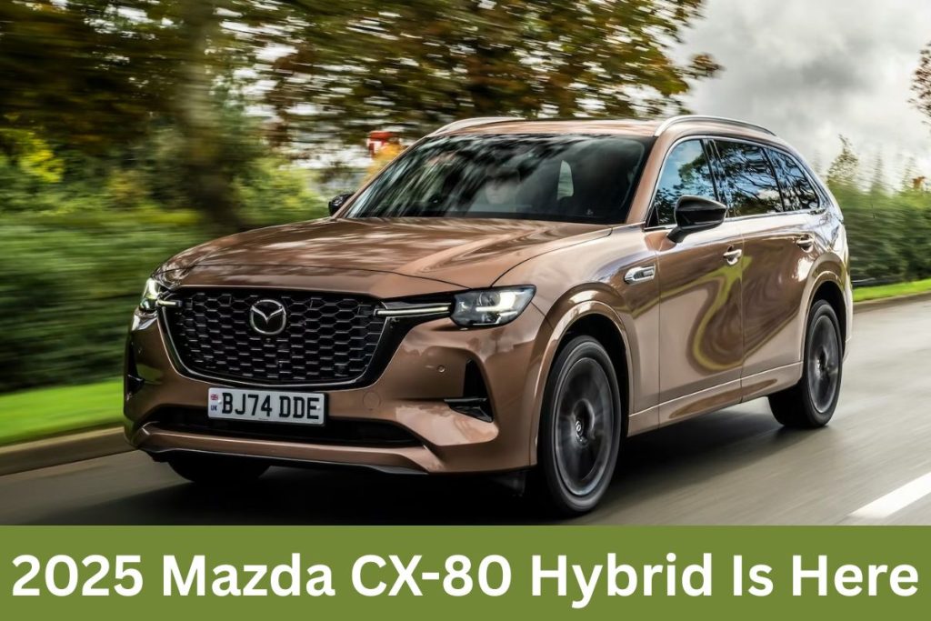 2025 Mazda CX-80 Hybrid Is Here — A Luxury 3-Row SUV With Power, Efficiency & Style