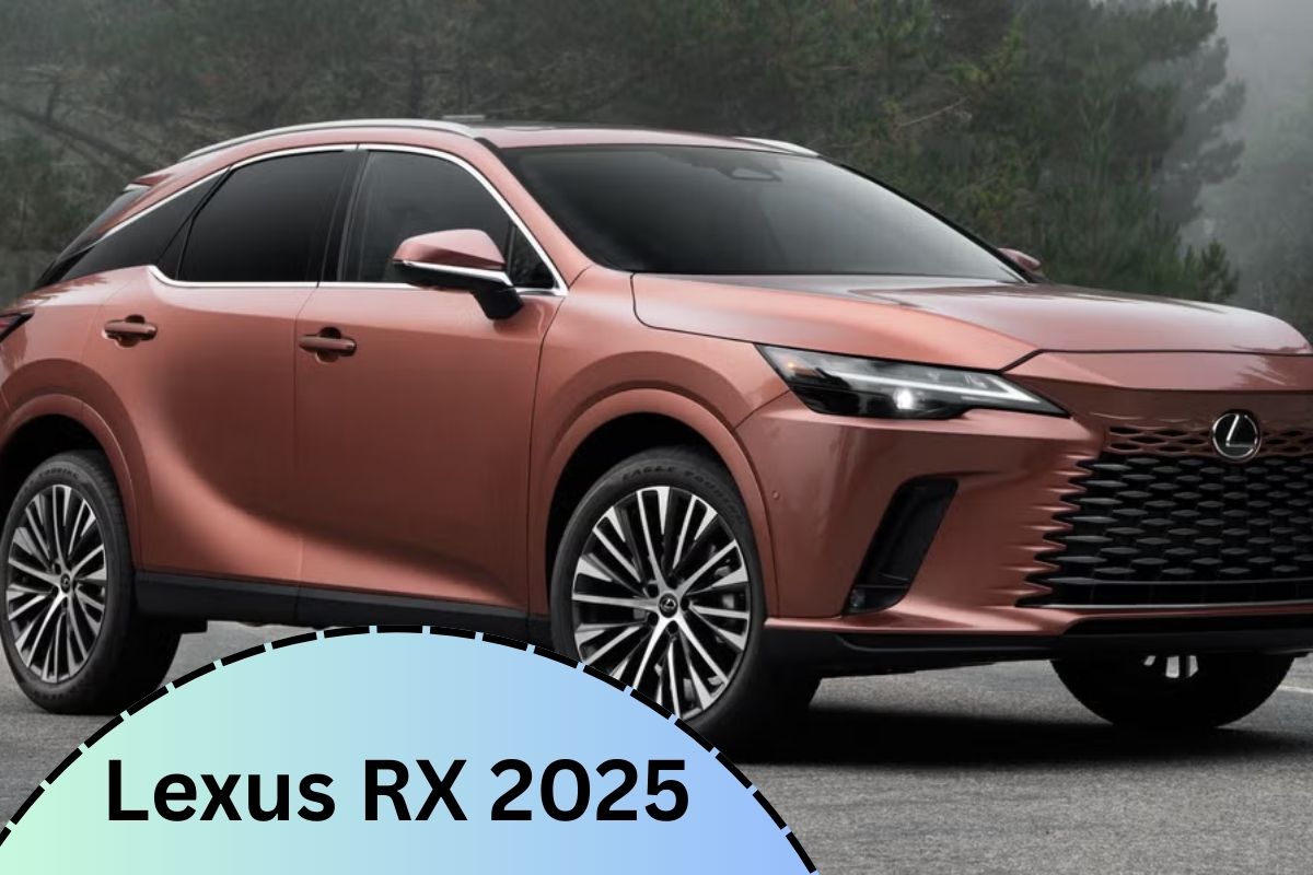 Lexus RX 2025 in the USA: Your Comfortable, Efficient Luxury SUV